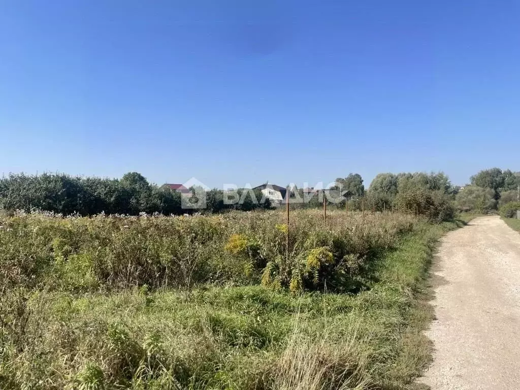 Участок в Владимирская область, Суздальский район, с. Павловское ... - Фото 0