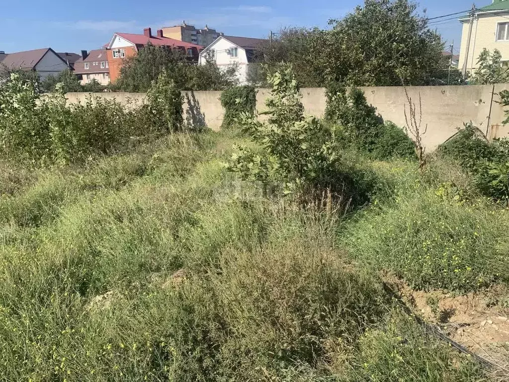 Участок в Краснодарский край, Анапа муниципальный округ, с. Витязево ... - Фото 2