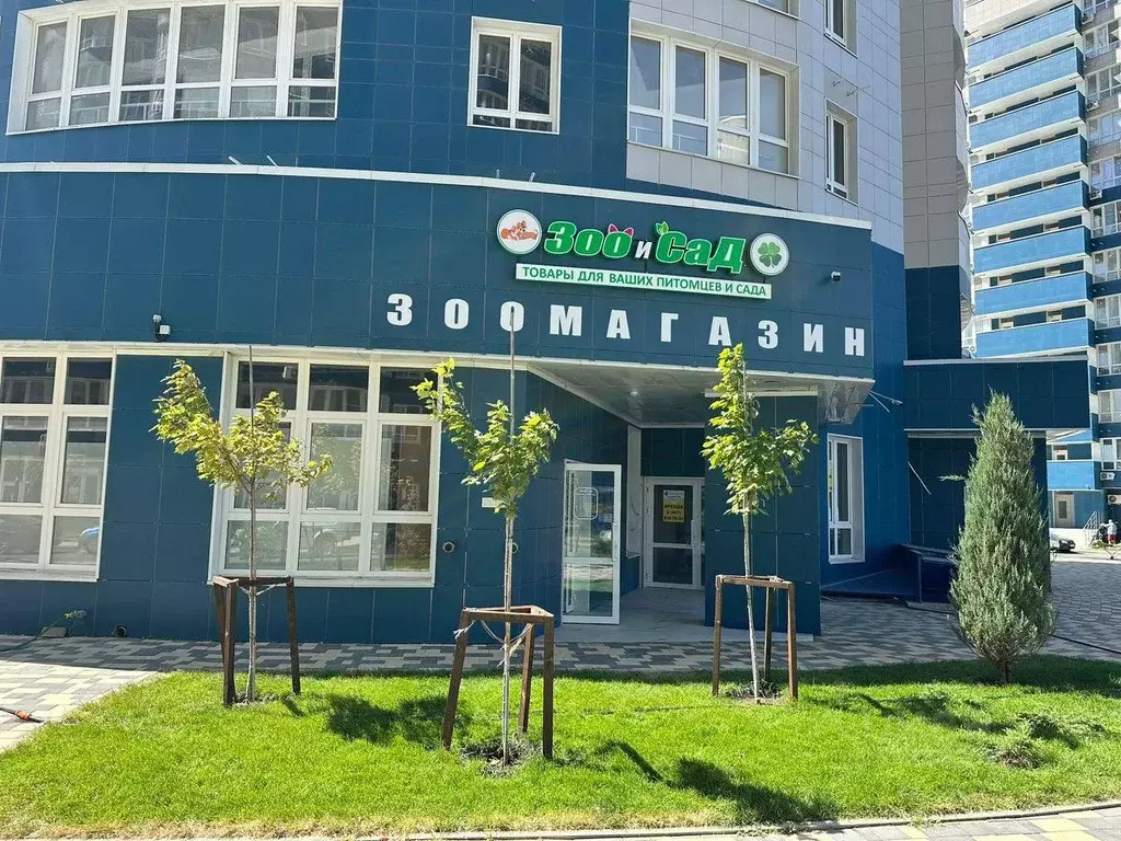 Офис в Краснодарский край, Краснодар Воронежская ул., 47Б (88 м) - Фото 1