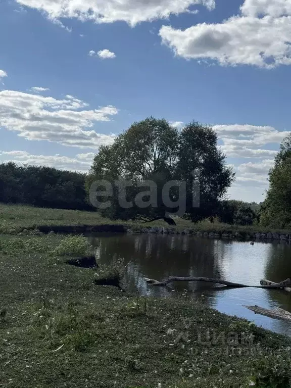Участок в Белгородская область, Губкинский городской округ, с. Аверино ... - Фото 1