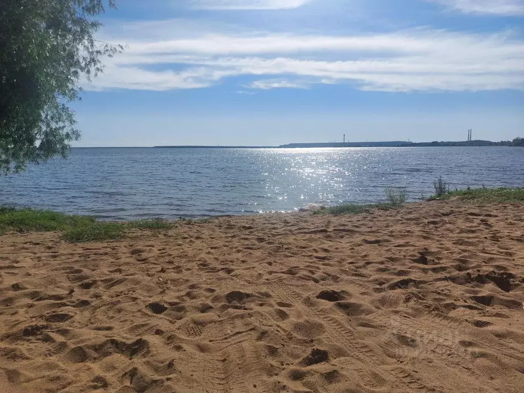 Участок в Ленинградская область, Кингисеппский район, Ивангородское ... - Фото 1