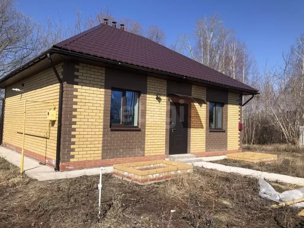 Дом в Татарстан, Лаишевский район, Никольское с/пос, с. Никольское ул. ... - Фото 0