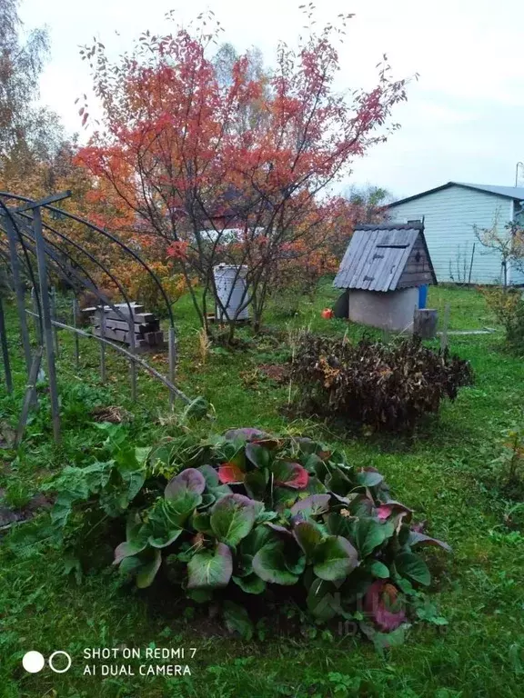 Участок в Московская область, Солнечногорск городской округ, Лужок СНТ ... - Фото 1