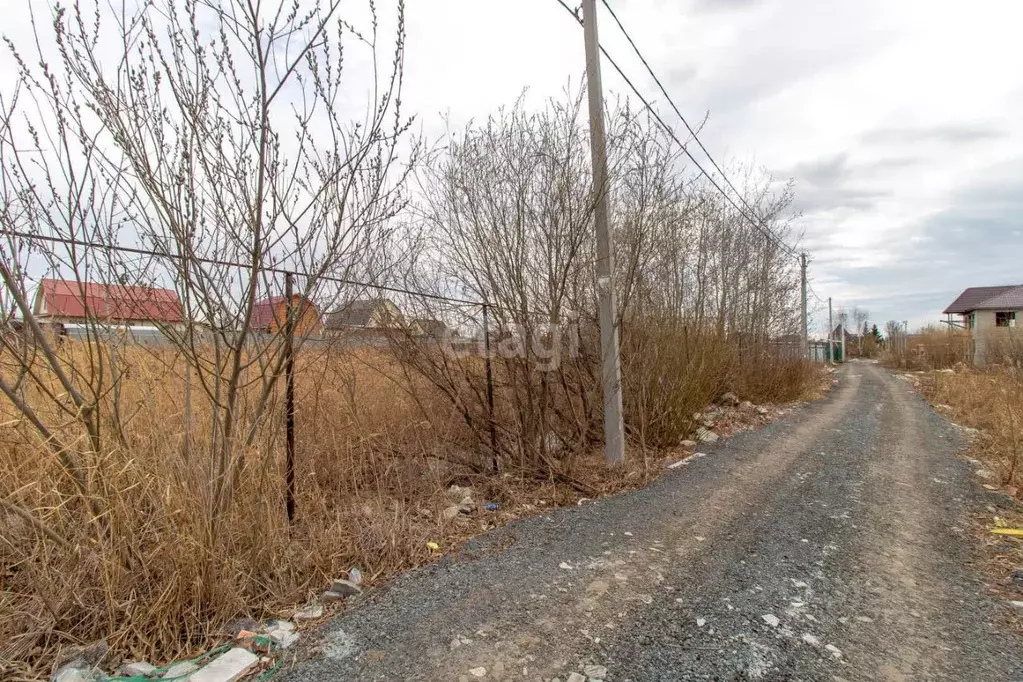 Участок в Тюменская область, Тюмень Якорь садовое товарищество, ул. ... - Фото 1