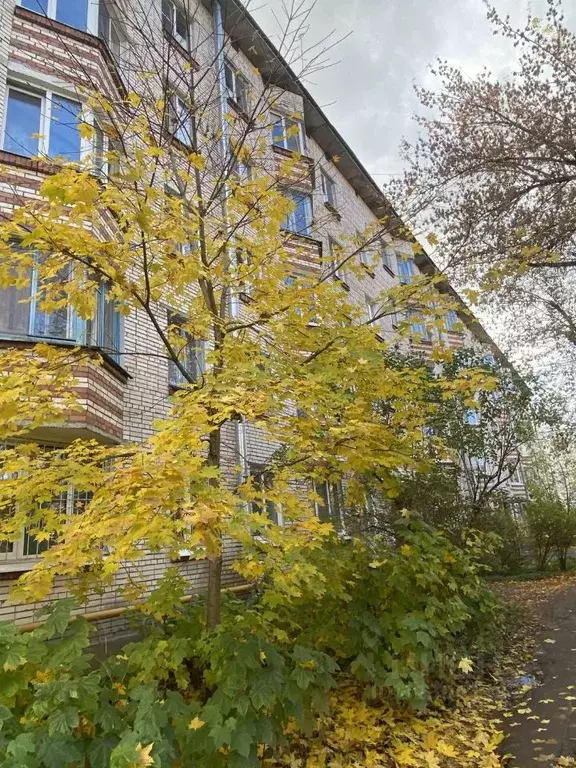 1-к кв. Ленинградская область, Гатчина ул. Карла Маркса, 16 (31.0 м) - Фото 1