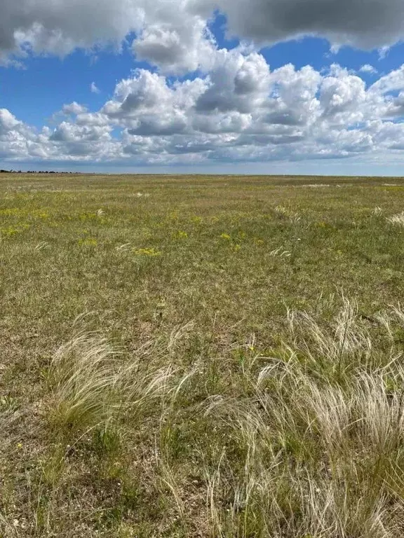 Участок в Крым, Евпатория городской округ, Новоозерное пгт ул. ... - Фото 0