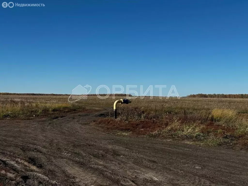 Участок в Тюменский муниципальный округ, село Горьковка (5 м) - Фото 2