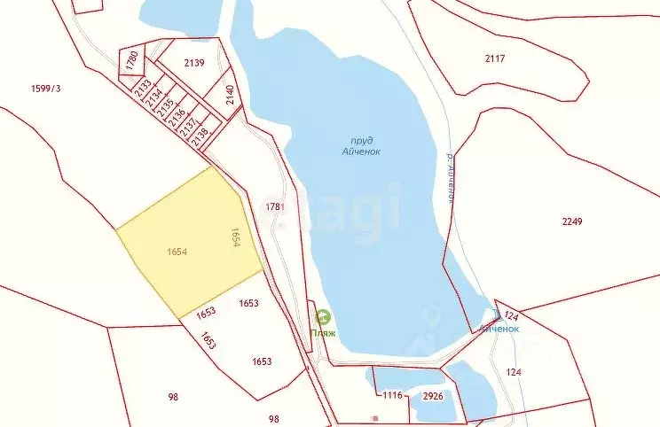 Участок в Алтайский край, Алтайский район, с. Верх-Ая Алтайская ул. ... - Фото 2