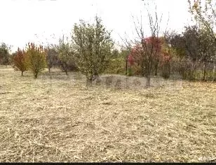 Участок в Ростовская область, Октябрьский район, Красюковское с/пос, ... - Фото 2