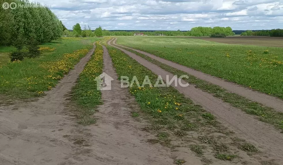 Участок в Суздальский район, муниципальное образование Селецкое, село ... - Фото 0