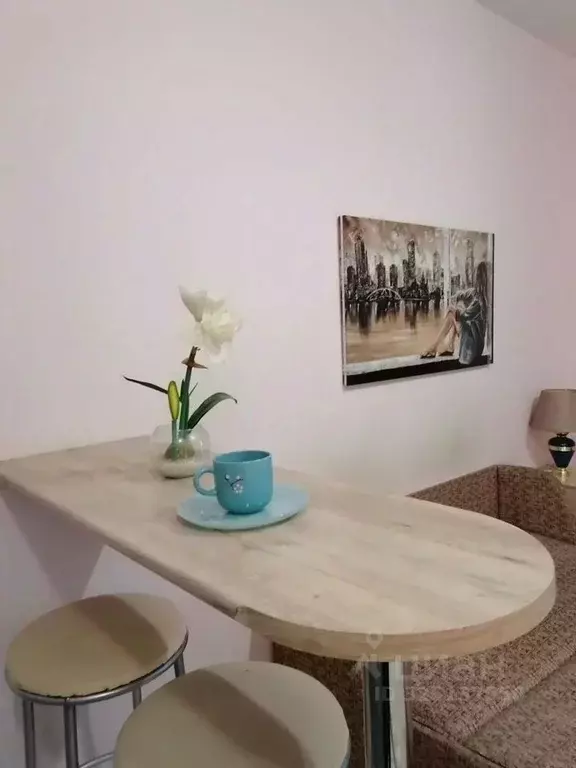 Студия Московская область, Электросталь Ногинское ш., 36к4 (28.0 м) - Фото 1