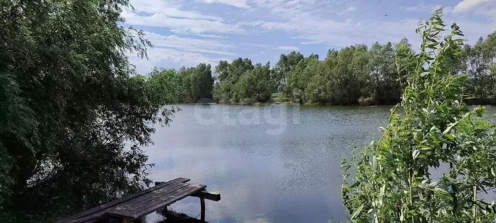 Участок в Новосибирская область, Новосибирский район, Морской ... - Фото 2