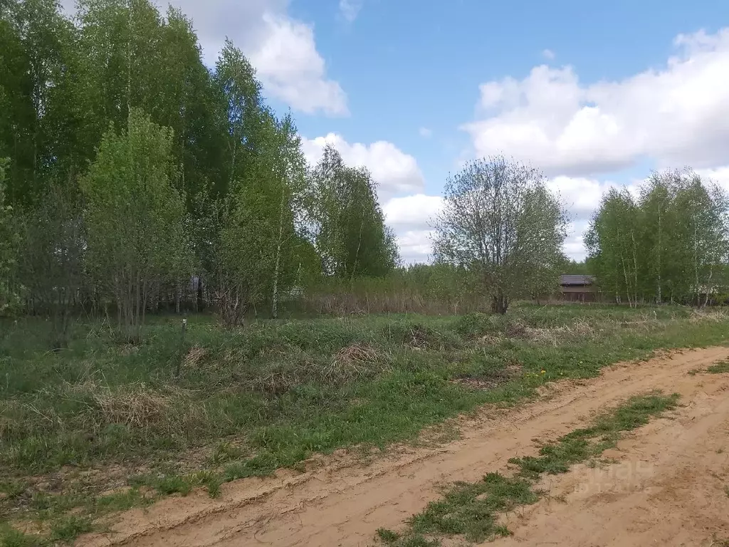 Участок в Владимирская область, Александровский район, Андреевское ... - Фото 1