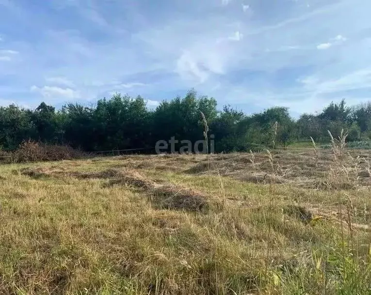 Участок в Калужская область, Мосальский муниципальный округ, д. ... - Фото 1