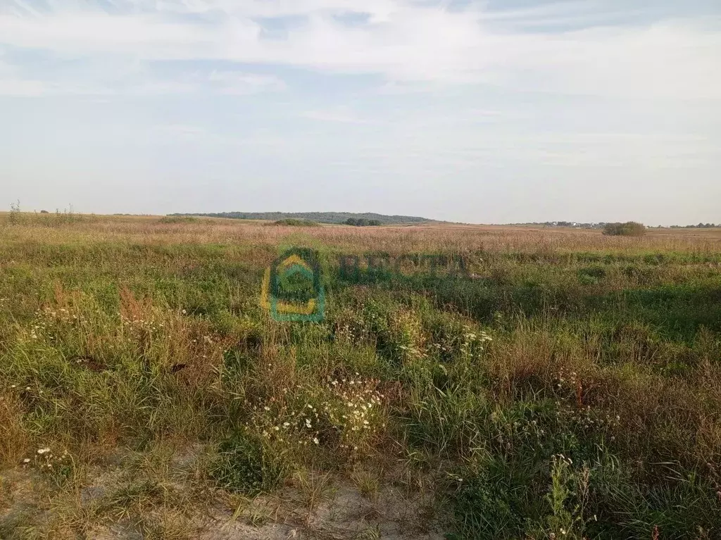 Участок в Ленинградская область, Ломоносовский район, Виллозское ... - Фото 1