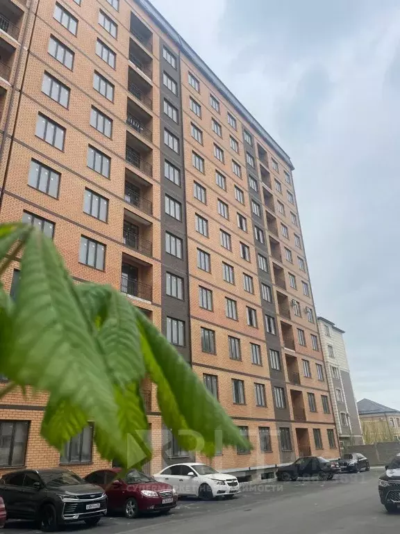 1-к кв. Дагестан, Махачкала ул. Лизы Чайкиной, 69 (58.0 м) - Фото 1