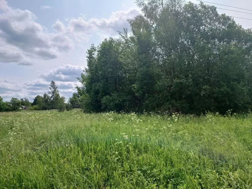 Участок в Московская область, Сергиево-Посадский городской округ, д. ... - Фото 1