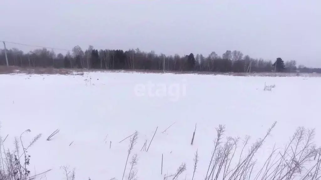 Участок в Томская область, Томский район, с. Кафтанчиково  (9.2 сот.) - Фото 1