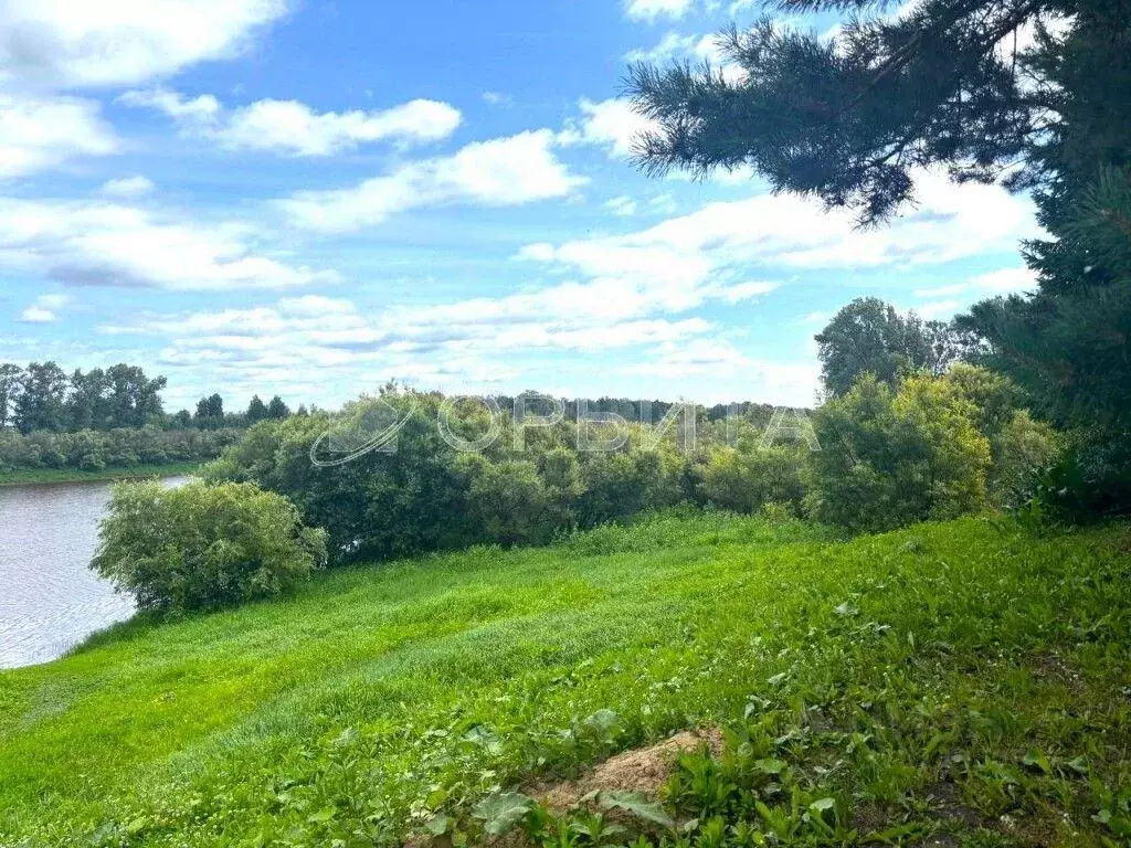 Участок в Тюменская область, Тюменский район, д. Речкина  (10.0 сот.) - Фото 2