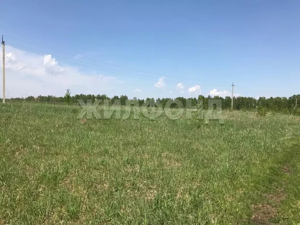 Участок в Новосибирская область, Ордынский район, с. Красный Яр  ... - Фото 1