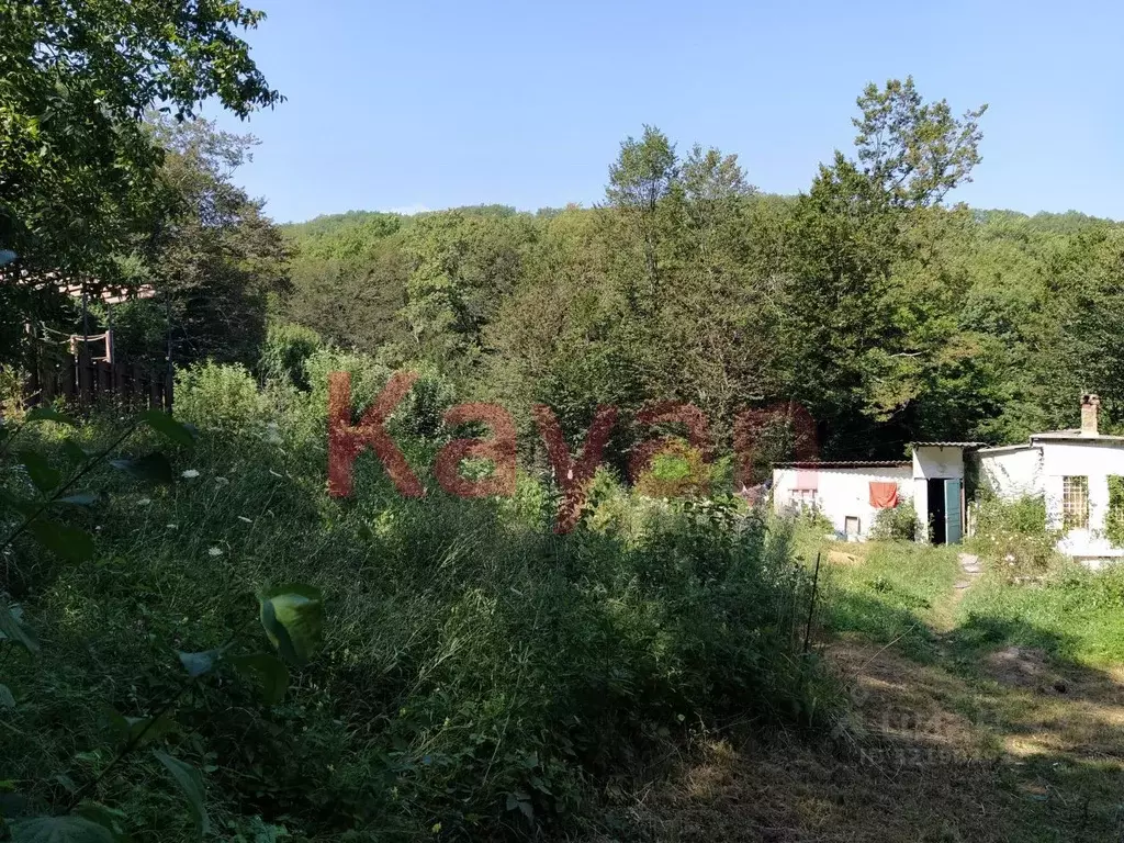 Участок в Краснодарский край, Геленджик городской округ, Широкая Щель ... - Фото 1