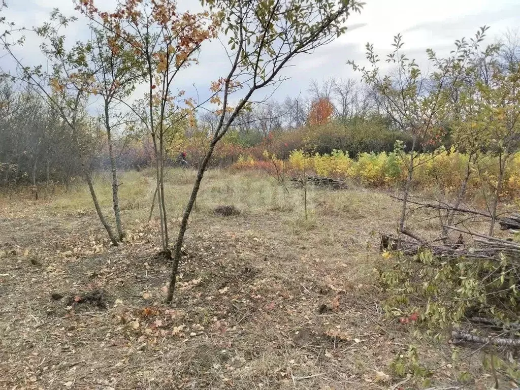 Участок в Белгородская область, Белгород  (6.0 сот.) - Фото 2