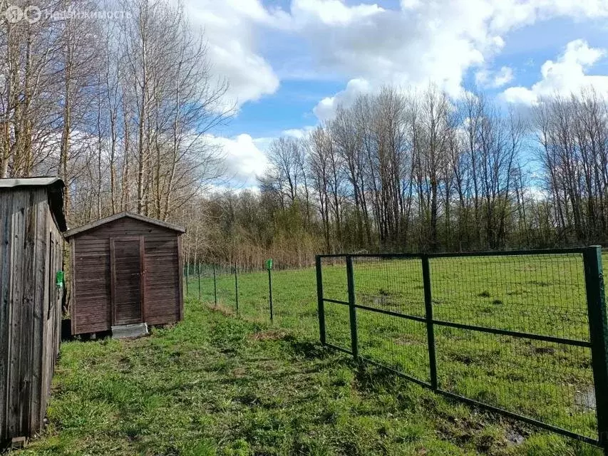 Участок в Волосовский район, деревня Клопицы (12.67 м) - Фото 0
