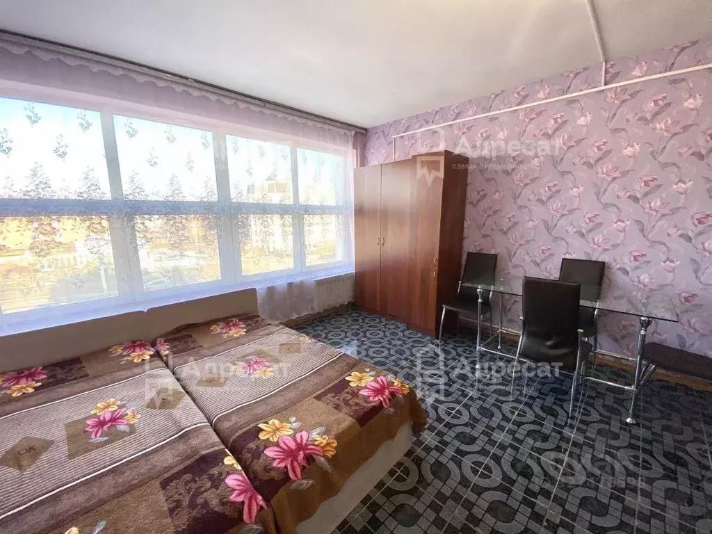 Студия Волгоградская область, Волгоград просп. Маршала Жукова, 51 ... - Фото 2