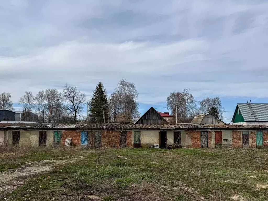 Помещение свободного назначения в Орловская область, Кромы пгт ул. К. ... - Фото 2