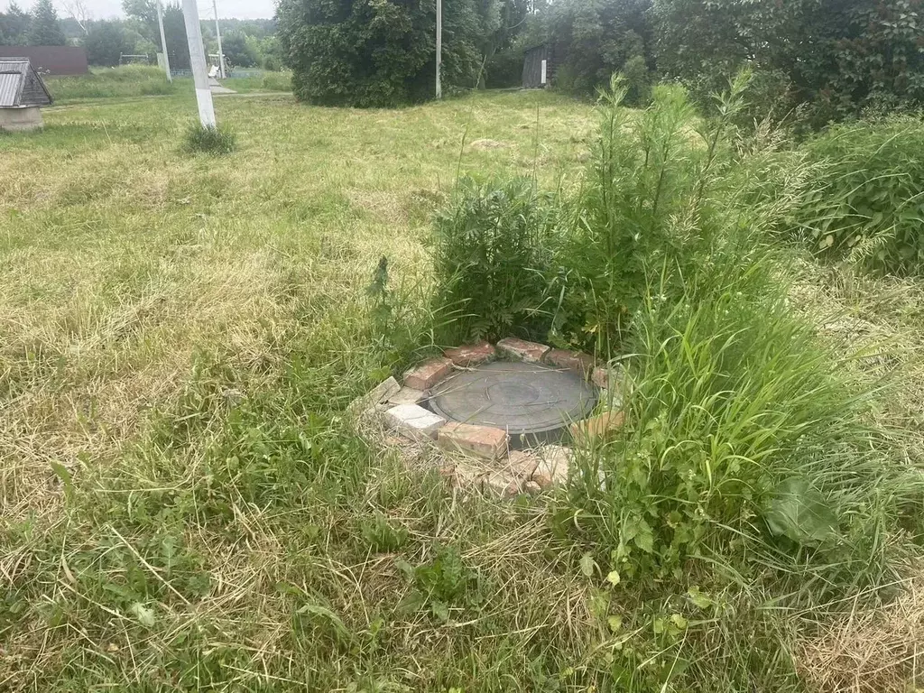 Участок в Московская область, Кашира городской округ, д. Острога  ... - Фото 2