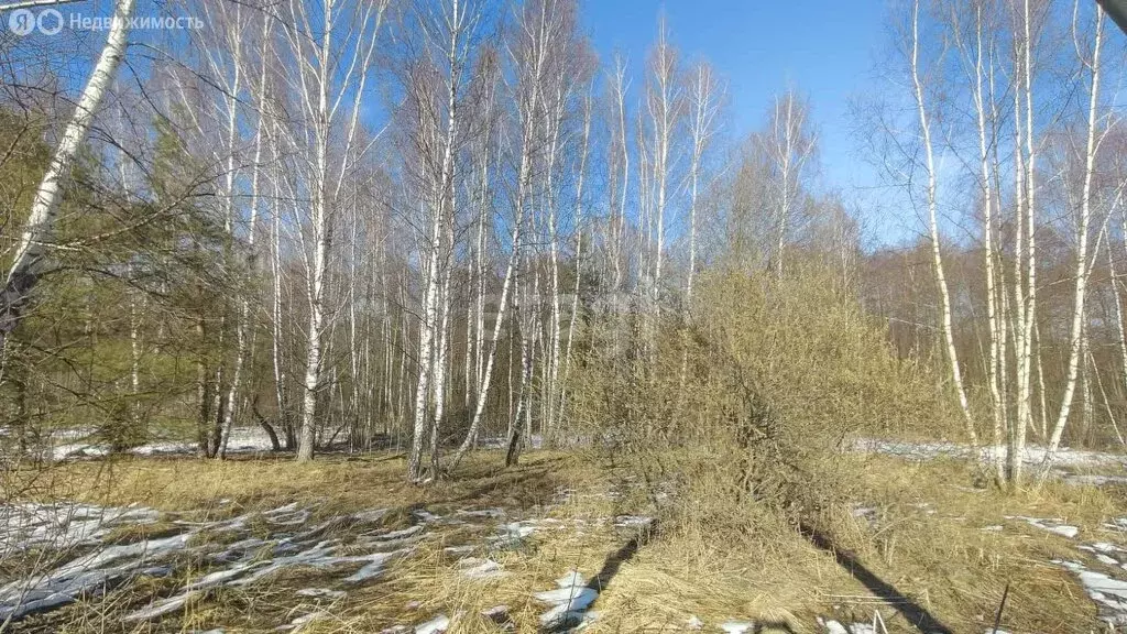 Участок в Московская область, городской округ Серпухов, СНТ Бобровое ... - Фото 1