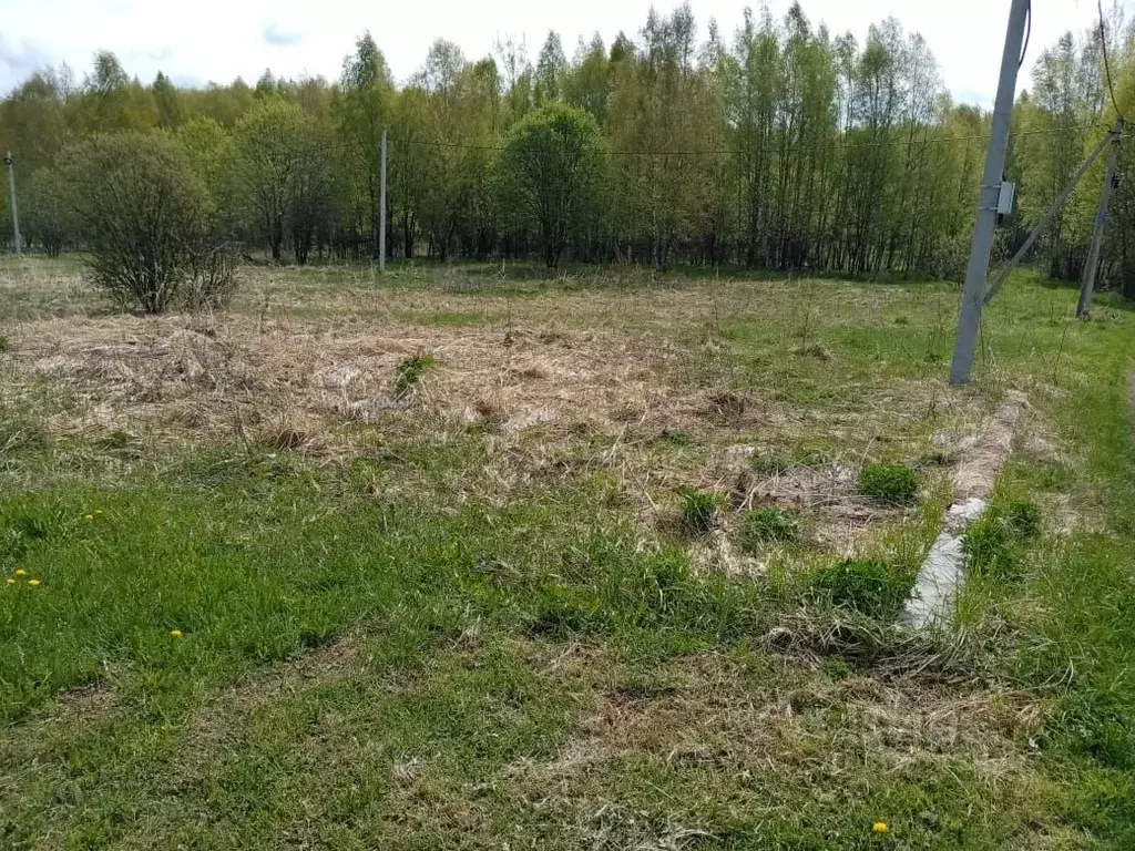 Участок в Владимирская область, Киржачский муниципальный округ, ... - Фото 2