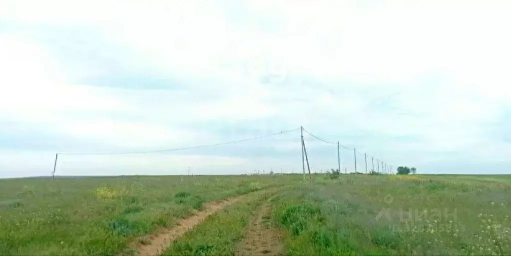 Участок в Крым, Ленинский район, с. Луговое ул. Шагиняна (458.0 сот.) - Фото 1