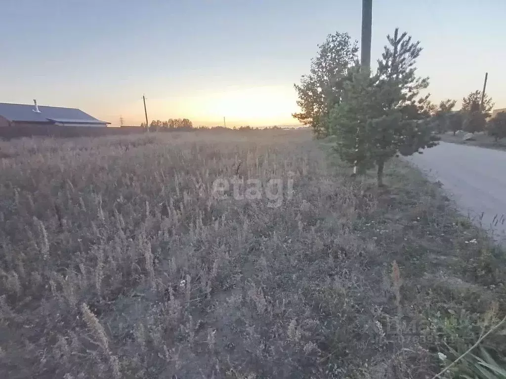 Участок в Новгородская область, Боровичский район, Сушанское с/пос, д. ... - Фото 0