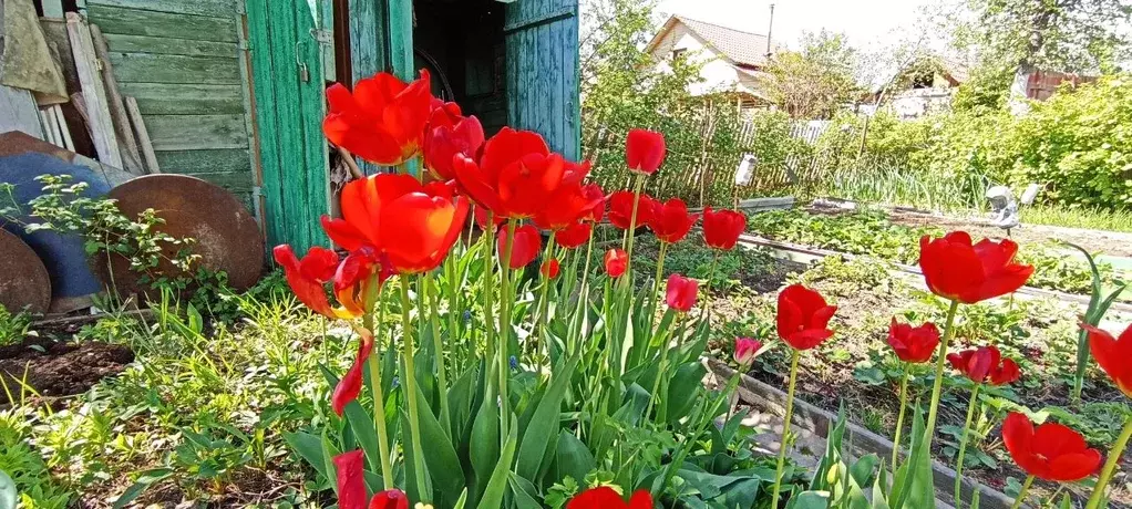 Дом в Татарстан, Зеленодольский район, Васильево муниципальное ... - Фото 1