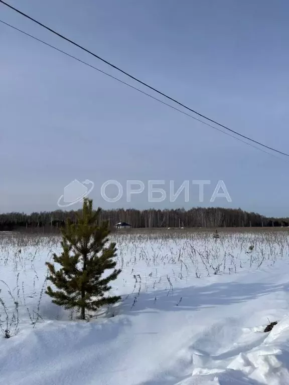Участок в Тюменская область, Тюменский район, с. Кулига, Кулига-2 мкр  ... - Фото 0