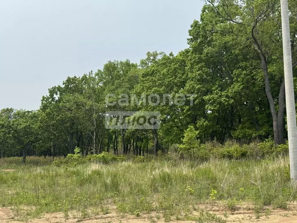 Участок в Приморский край, Находка пос. Врангель, ул. Осенняя, 13 ... - Фото 2