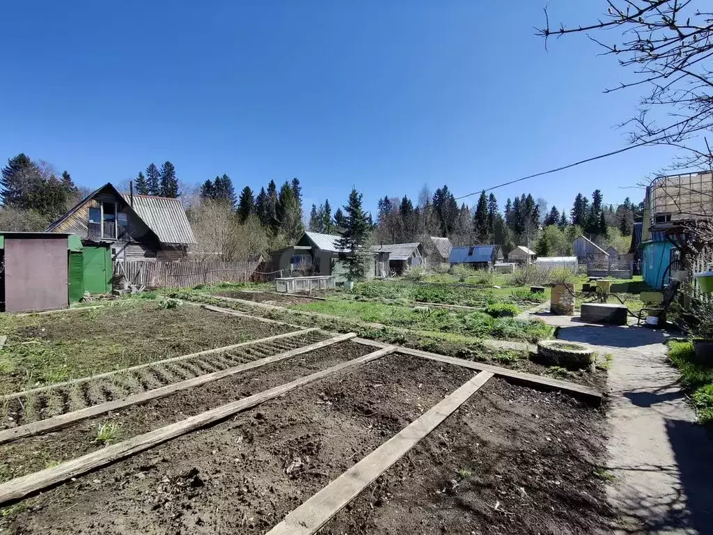Дача 30 м на участке 5,3 сот. - Фото 1