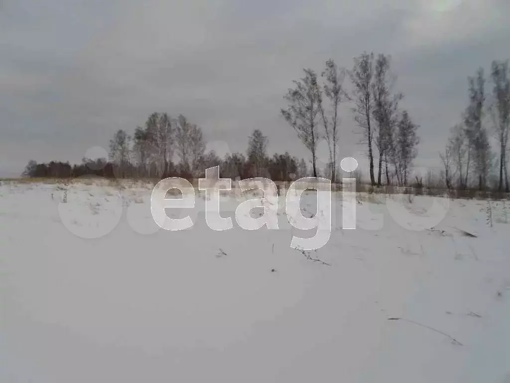 Участок 10 сот. (ИЖС) - Фото 1
