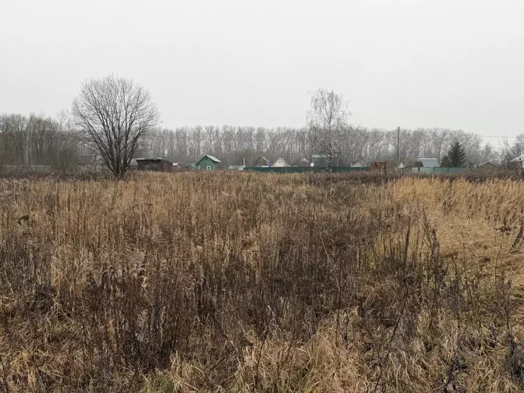 Участок в Тульская область, Ясногорский район, Ревякинское с/пос, № 20 ... - Фото 1