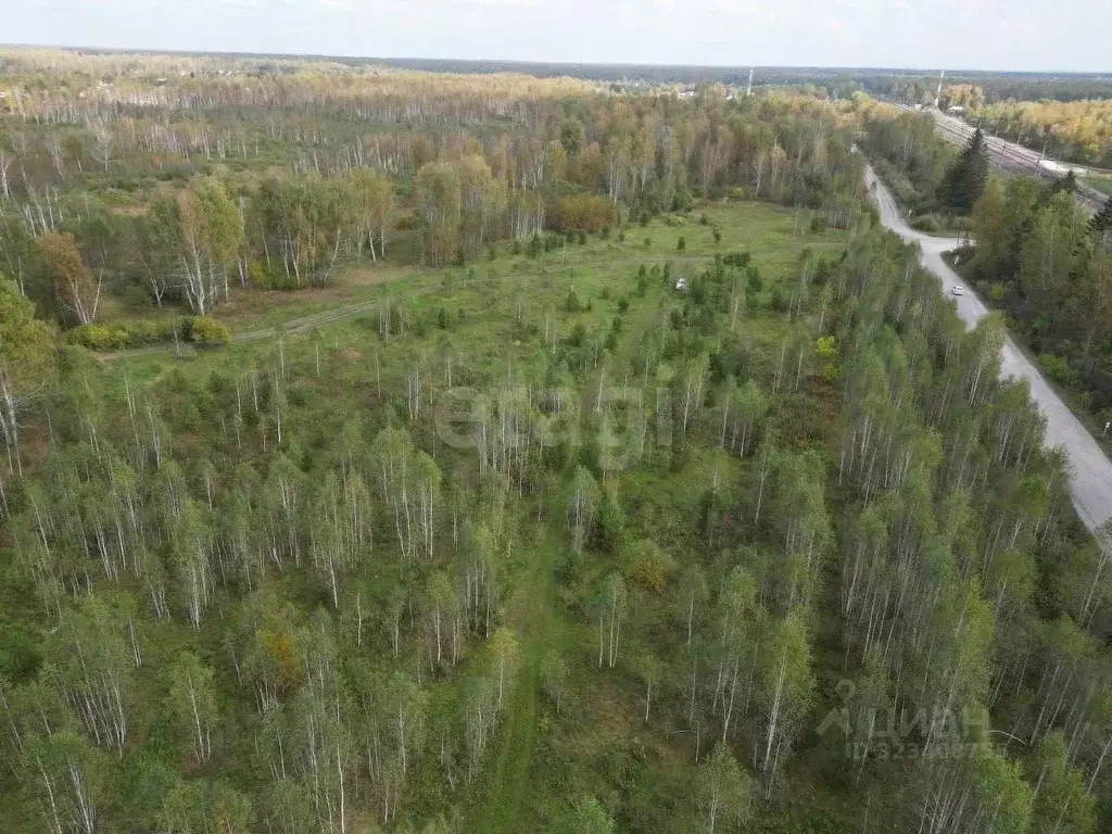 Участок в Тюменская область, Тюменский муниципальный округ, ... - Фото 1