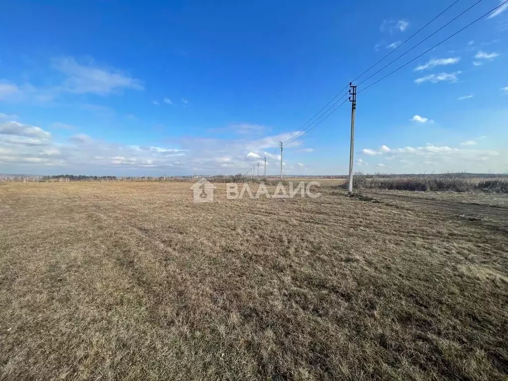 Участок в Иркутская область, Шелеховский район, Баклашинское ... - Фото 1