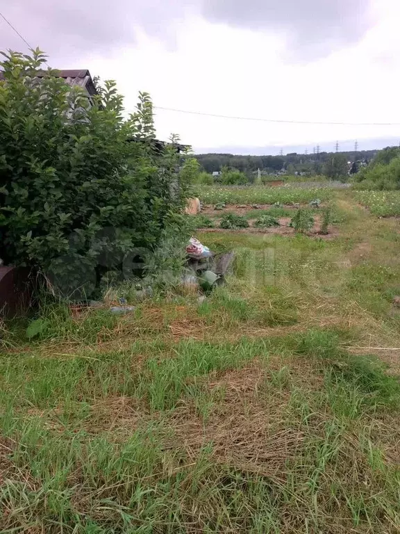 Участок 12 сот. (СНТ, ДНП) - Фото 1