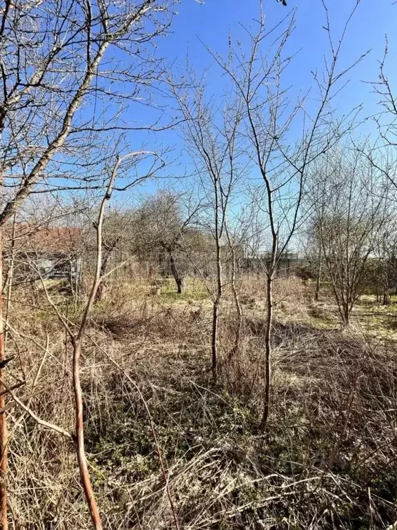 Участок в Смоленская область, Смоленск Каравай СНТ, 30 (7.67 сот.) - Фото 2