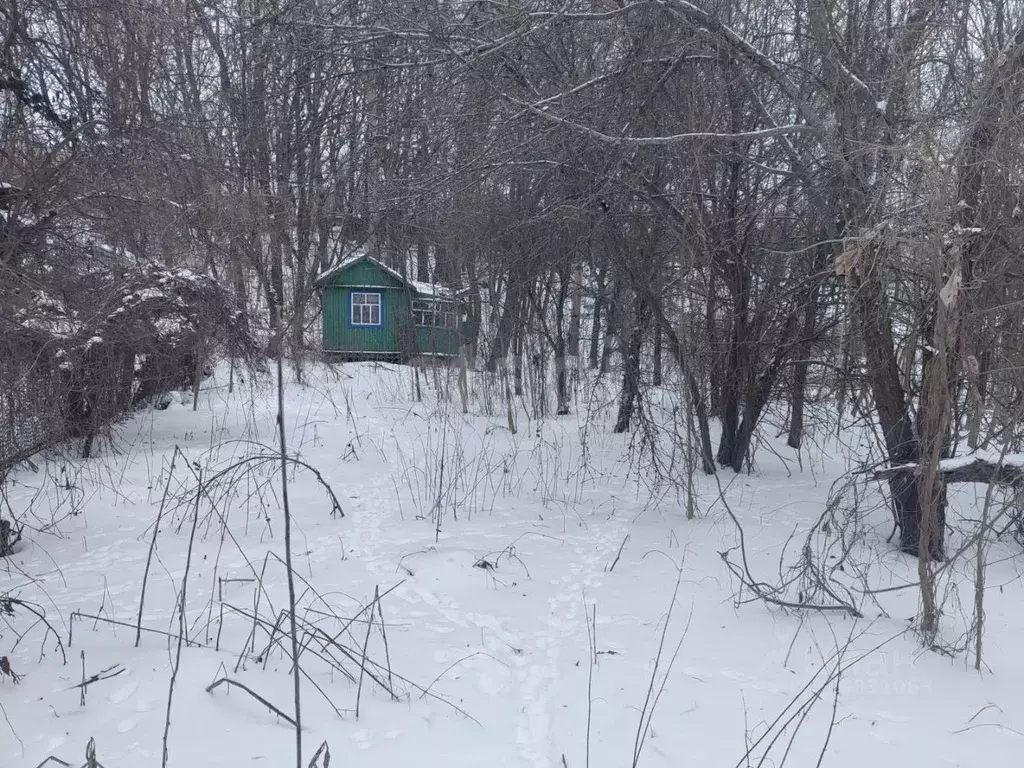 Участок в Белгородская область, Алексеевский муниципальный округ, ... - Фото 1