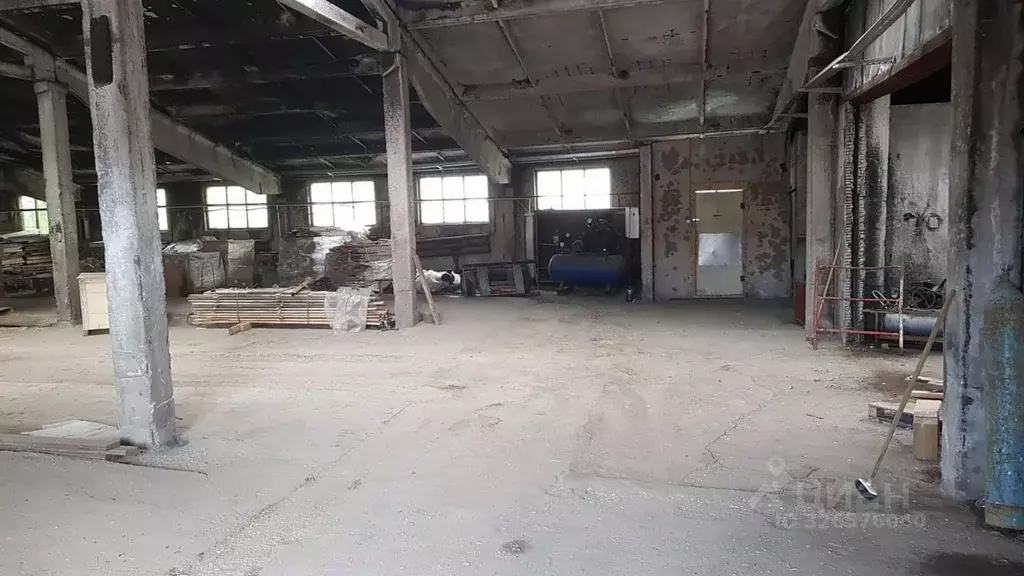 Производственное помещение в Ленинградская область, Лужский район, ... - Фото 1