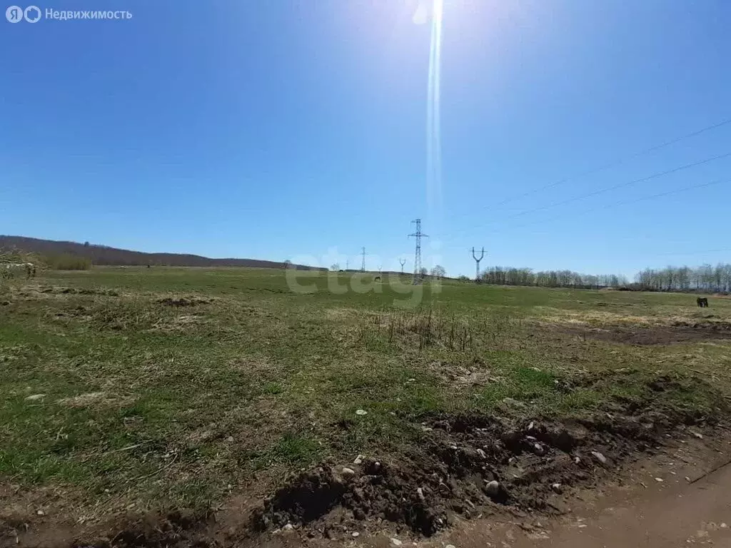 Участок в Пионерский, Лесная улица (15 м) - Фото 0
