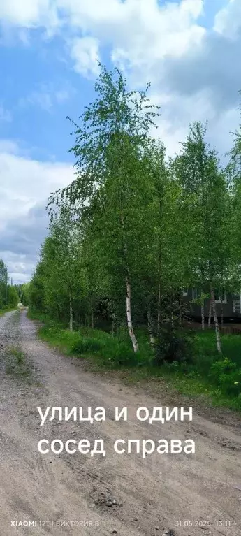 Участок в Ленинградская область, Выборгский район, Полянское с/пос, ... - Фото 2