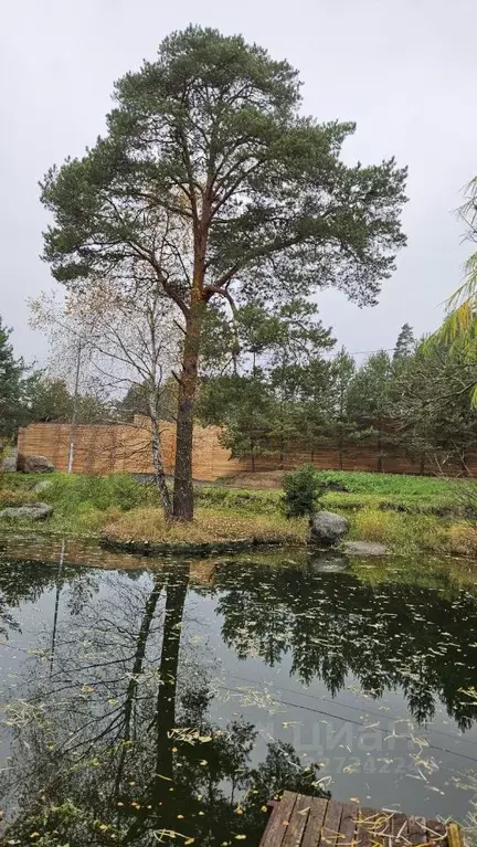 Участок в Московская область, Красногорск городской округ, д. Глухово ... - Фото 1