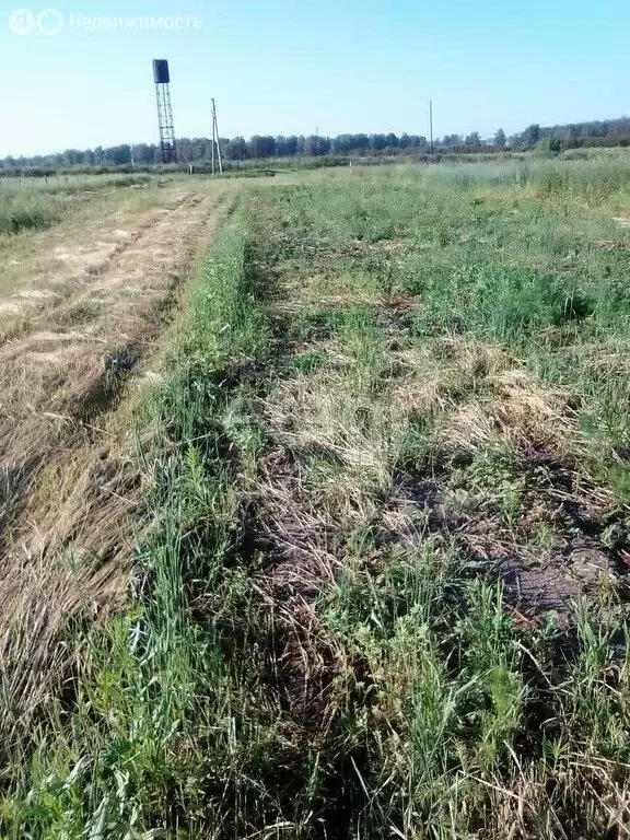 Участок в Искитимский район, Чернореченский сельсовет, село Старый ... - Фото 1